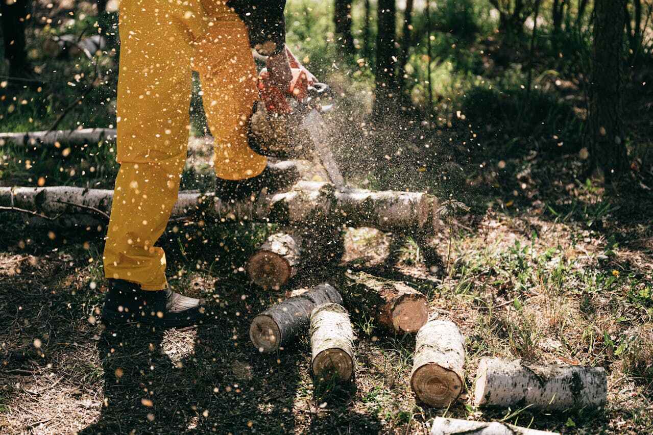 Canyon Lake, TX Tree Service Company